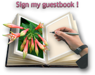 guestbook