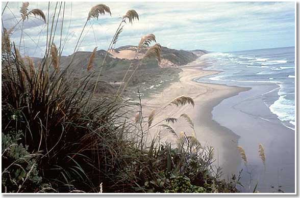 Wyspa North Island