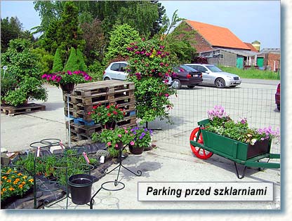 parking przed szklarniami