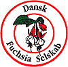 logo DFS
