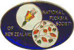 logo NFSNZ