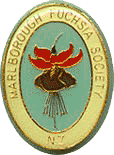 logo lokalne