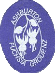 logo lokalne