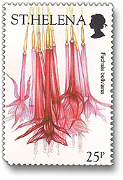 znaczek z St.Helen