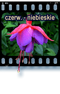 czerwono-niebieskie