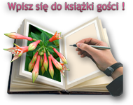 ksika goci